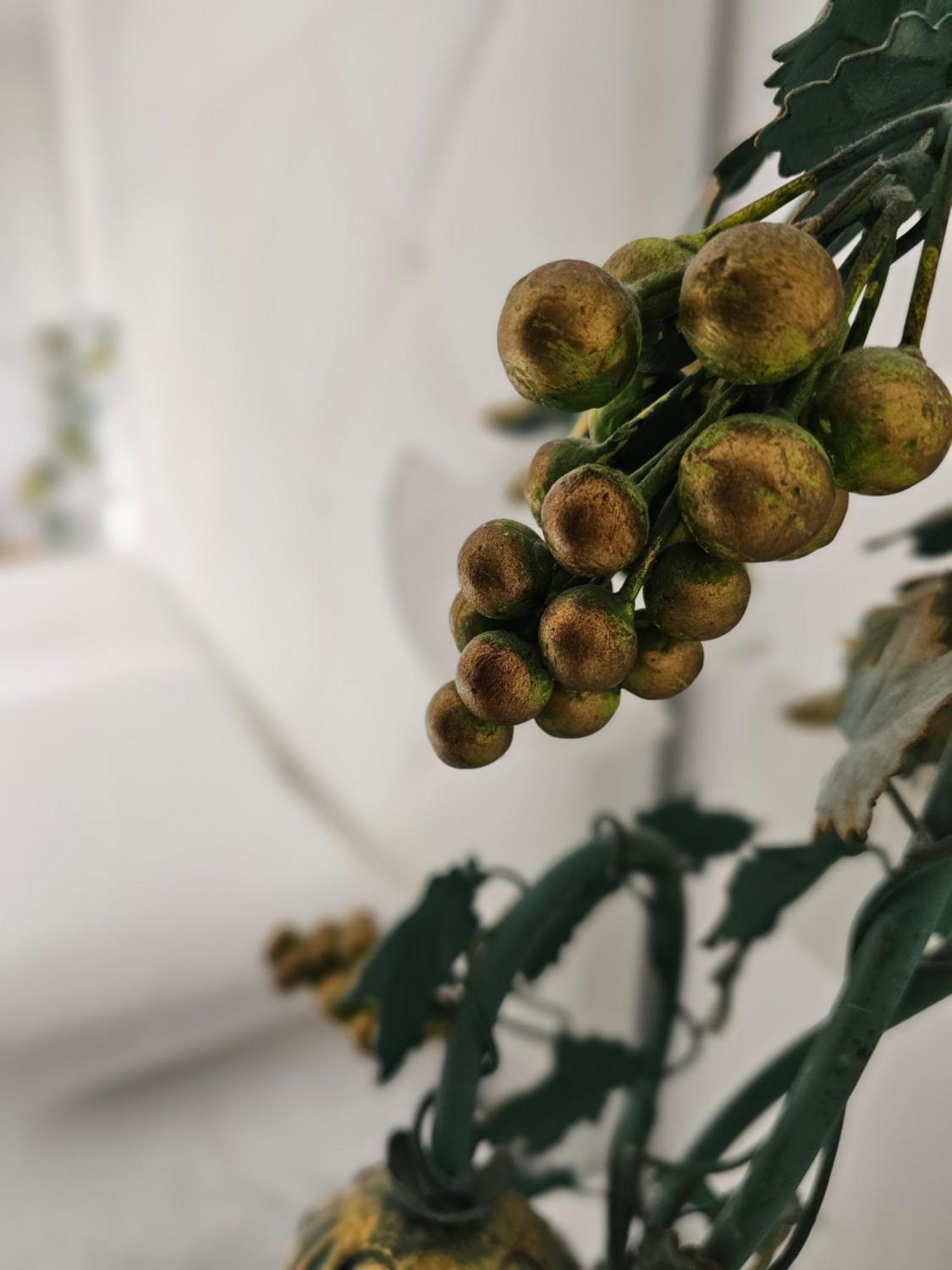 ホテル Casa Iulia ハーロー 部屋 写真